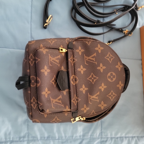 Louis Vuitton Palm SPRINGS Mini Brown Monogram Backpack - Picture 5 of 15